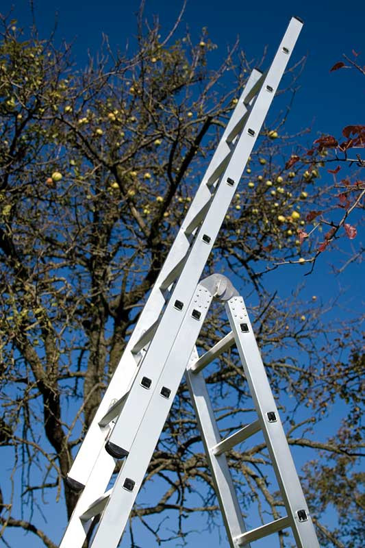 WAKÜ Aufsteckteil mit 7 Sprossen WAKÜ Aufsteckteil mit 7 Sprossen